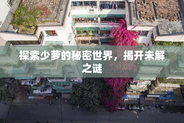 探索少萝的秘密世界，揭开未解之谜