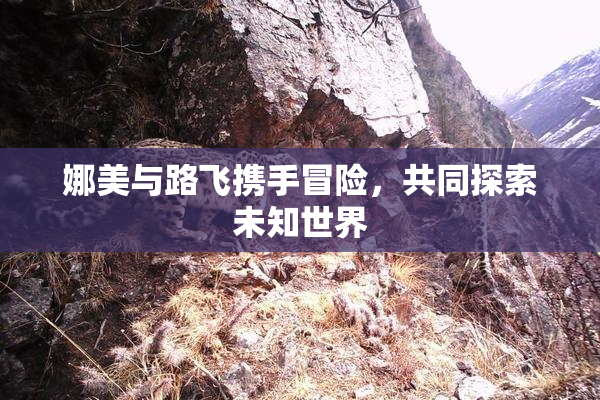 娜美与路飞携手冒险，共同探索未知世界