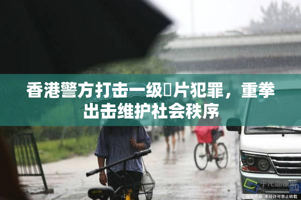 香港警方打击一级婬片犯罪，重拳出击维护社会秩序