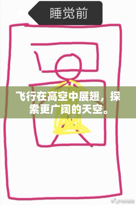 飞行在高空中展翅，探索更广阔的天空。