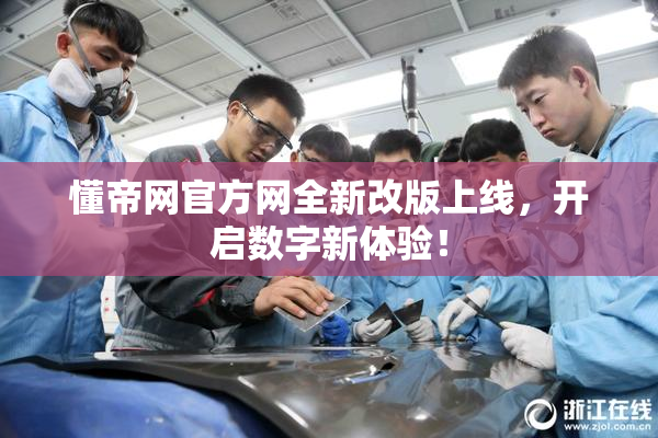 懂帝网官方网全新改版上线，开启数字新体验！