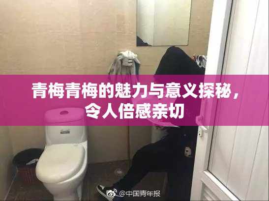 青梅青梅的魅力与意义探秘，令人倍感亲切
