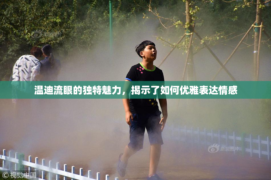 温迪流眼的独特魅力，揭示了如何优雅表达情感