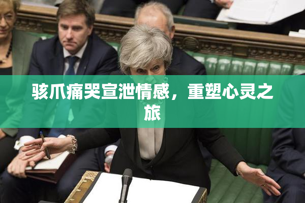 骇爪痛哭宣泄情感，重塑心灵之旅