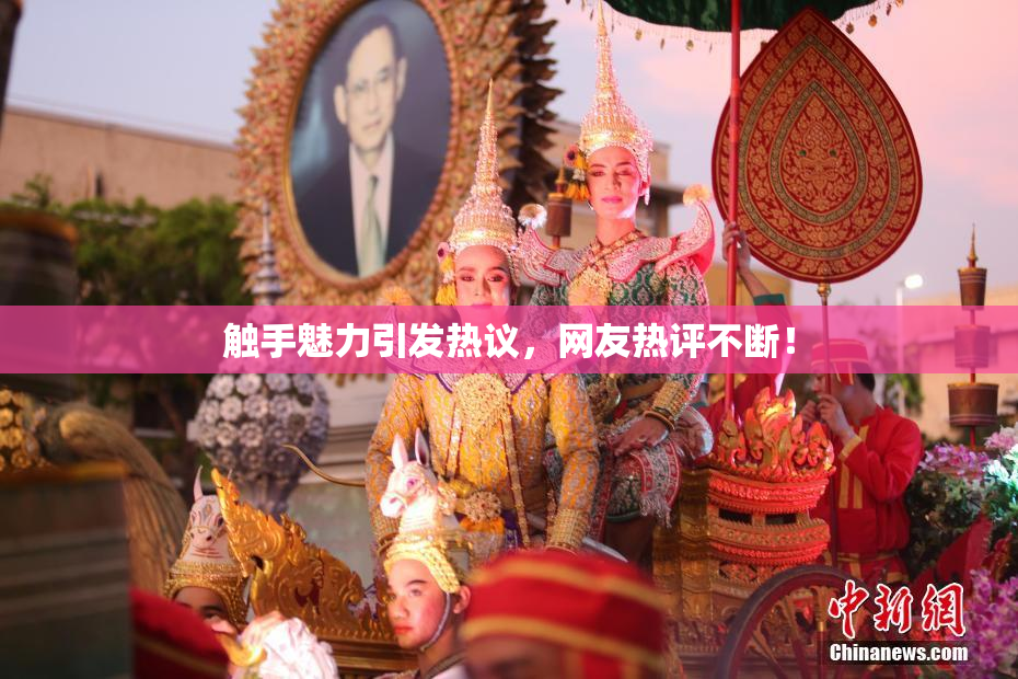 触手魅力引发热议，网友热评不断！