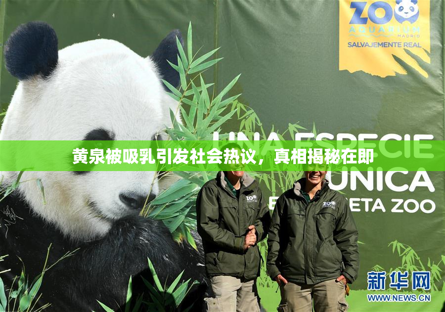 黄泉被吸乳引发社会热议，真相揭秘在即