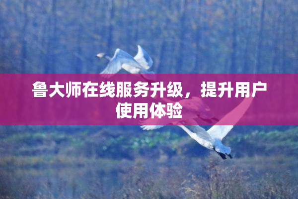 鲁大师在线服务升级，提升用户使用体验