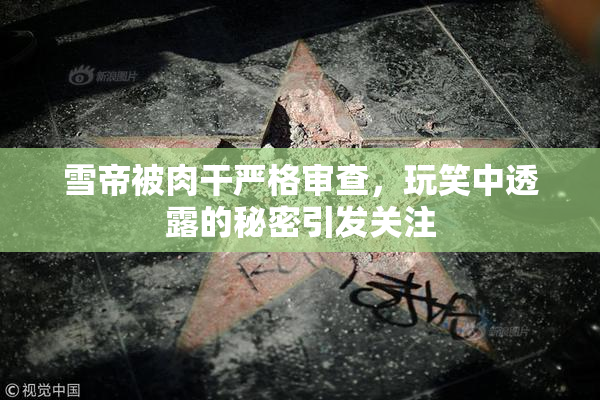 雪帝被肉干严格审查，玩笑中透露的秘密引发关注