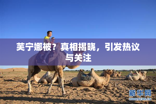 芙宁娜被？真相揭晓，引发热议与关注
