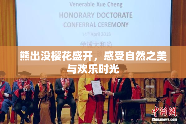 熊出没樱花盛开，感受自然之美与欢乐时光