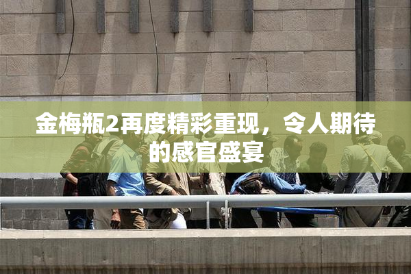 金梅瓶2再度精彩重现，令人期待的感官盛宴