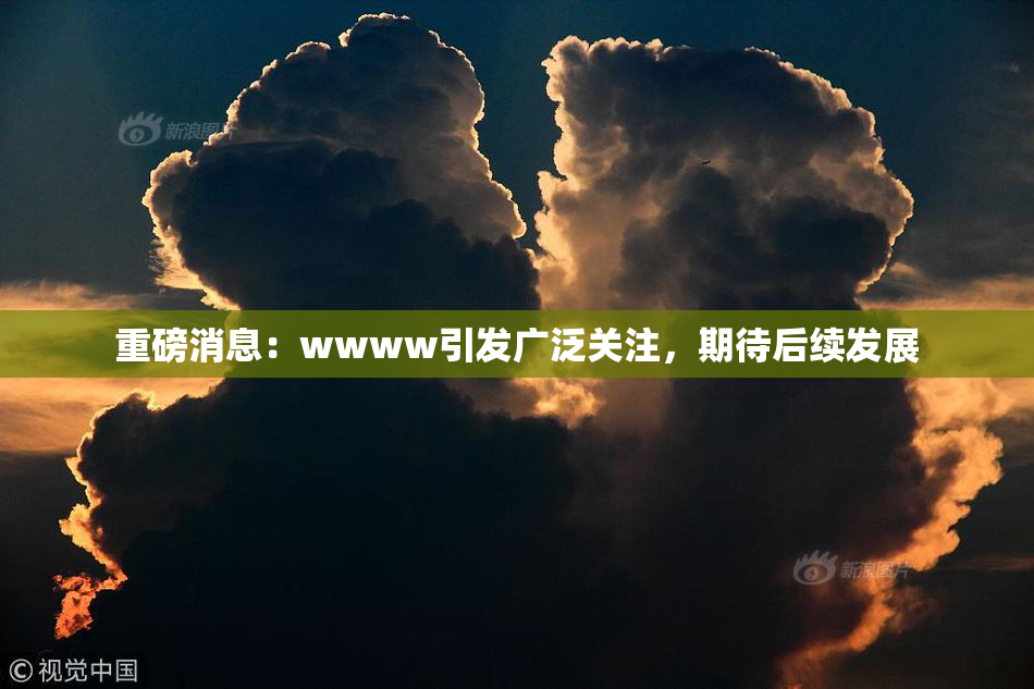 重磅消息：wwww引发广泛关注，期待后续发展