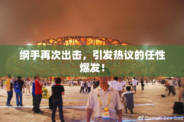 纲手再次出击，引发热议的任性爆发！