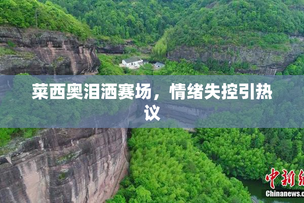 菜西奥泪洒赛场，情绪失控引热议