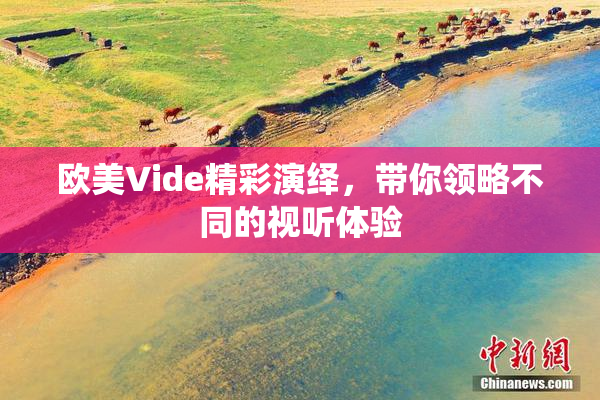 欧美Vide精彩演绎，带你领略不同的视听体验