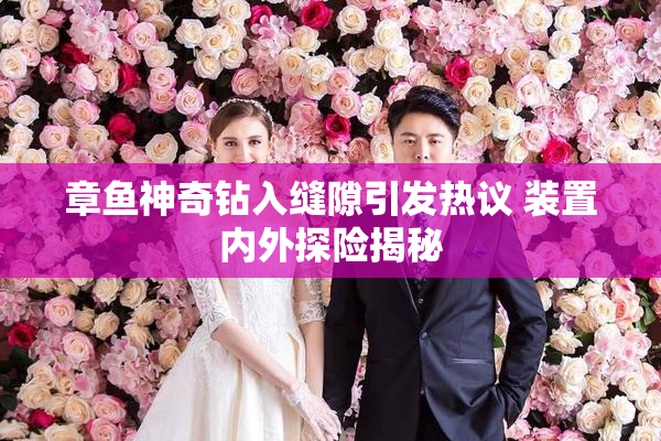 章鱼神奇钻入缝隙引发热议 装置内外探险揭秘