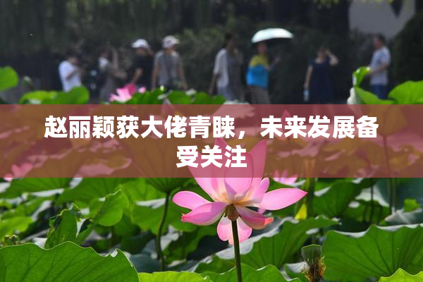 赵丽颖获大佬青睐，未来发展备受关注
