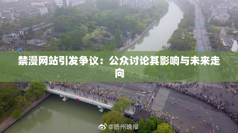 禁漫网站引发争议：公众讨论其影响与未来走向