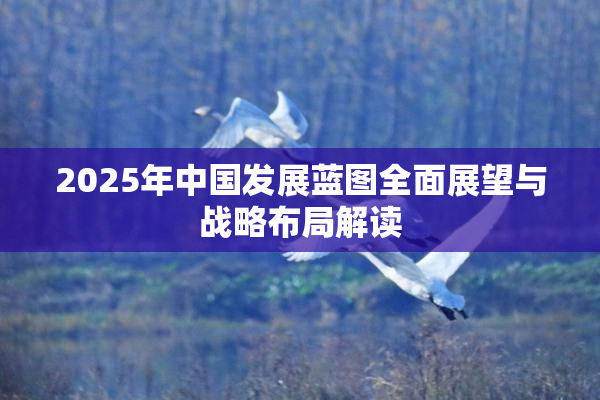 2025年中国发展蓝图全面展望与战略布局解读