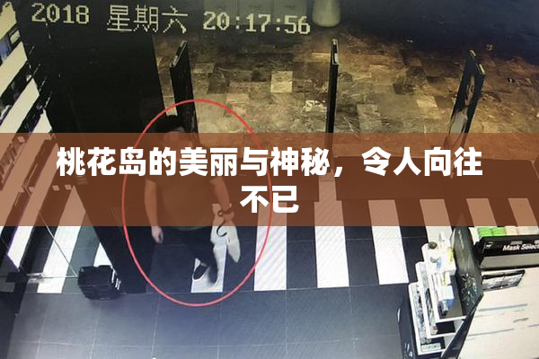 桃花岛的美丽与神秘，令人向往不已