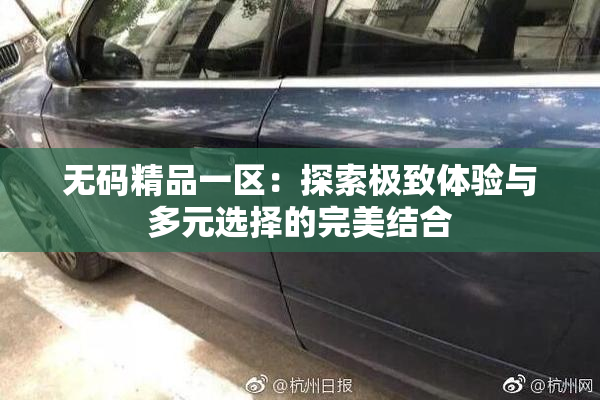 无码精品一区：探索极致体验与多元选择的完美结合