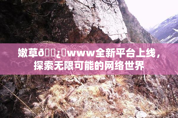 嫩草🌿‌www全新平台上线，探索无限可能的网络世界