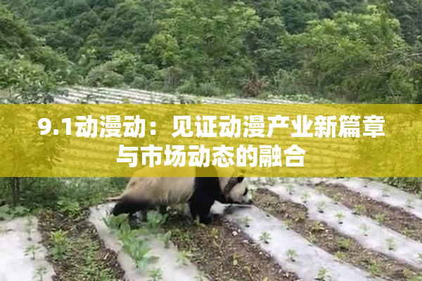 9.1动漫动：见证动漫产业新篇章与市场动态的融合