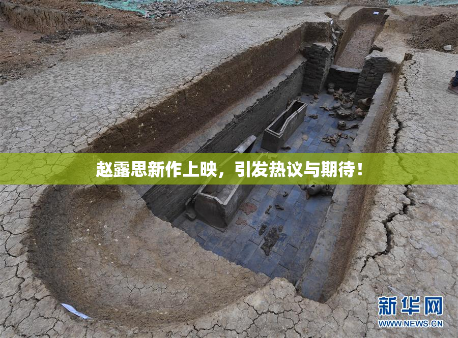 赵露思新作上映，引发热议与期待！