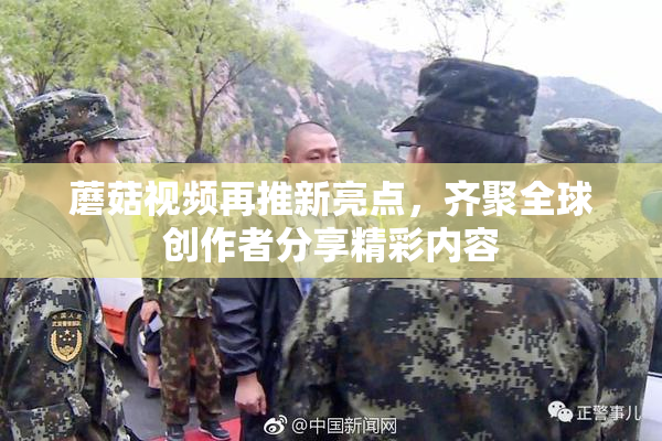 蘑菇视频再推新亮点，齐聚全球创作者分享精彩内容