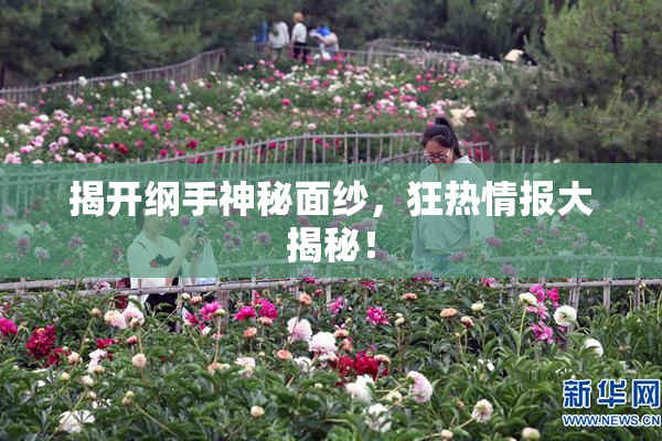 揭开纲手神秘面纱，狂热情报大揭秘！