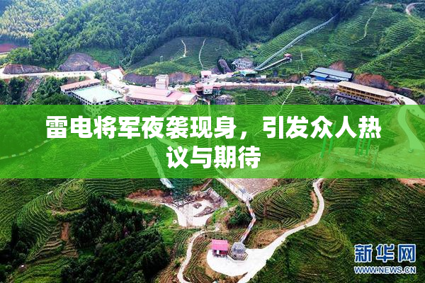 雷电将军夜袭现身，引发众人热议与期待