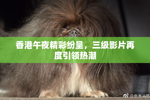 香港午夜精彩纷呈，三级影片再度引领热潮