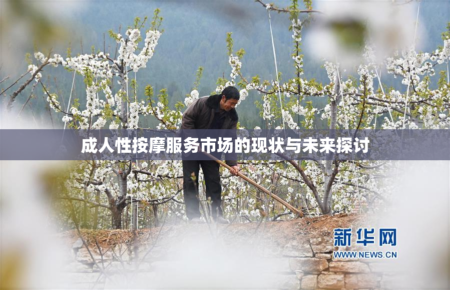 成人性按摩服务市场的现状与未来探讨