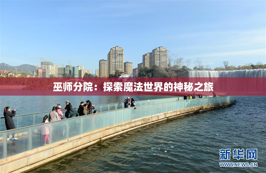 巫师分院：探索魔法世界的神秘之旅