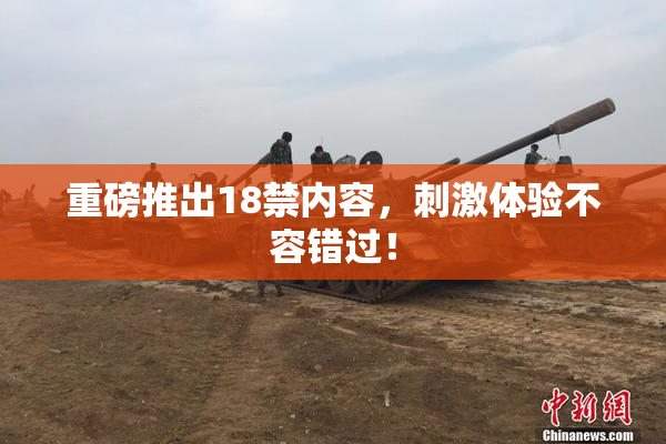 重磅推出18禁内容，刺激体验不容错过！