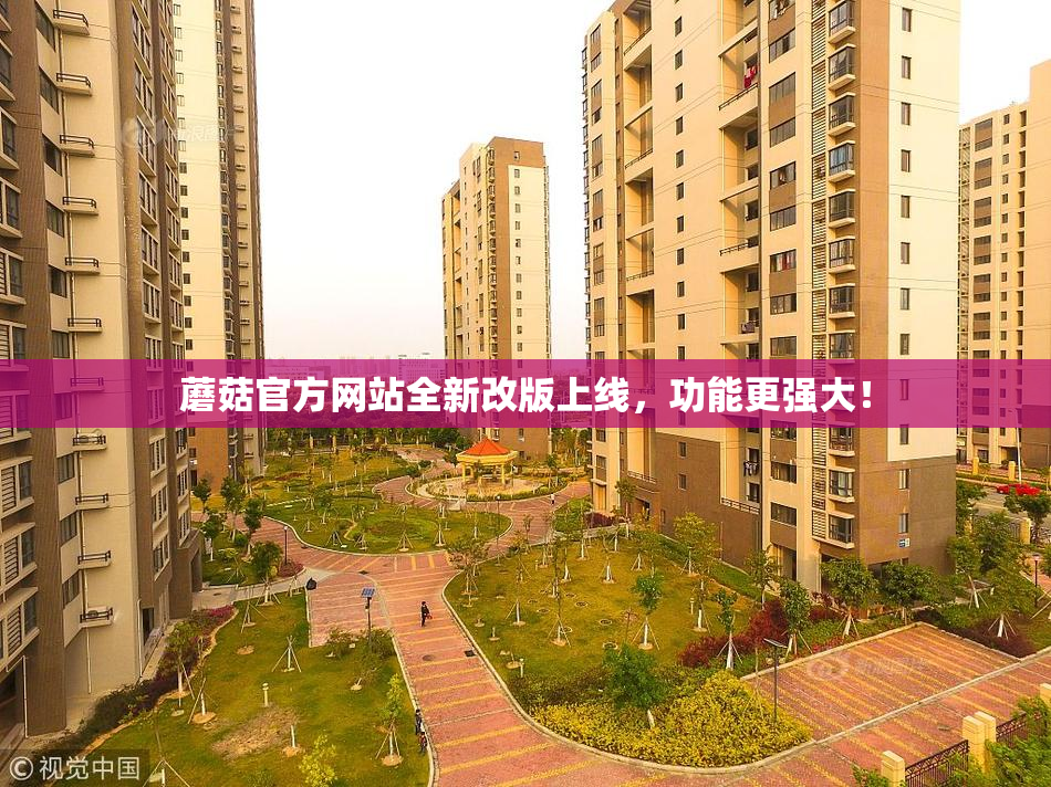 蘑菇官方网站全新改版上线，功能更强大！