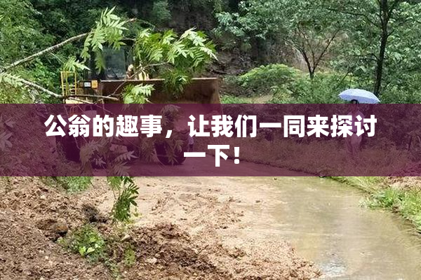 公翁的趣事，让我们一同来探讨一下！