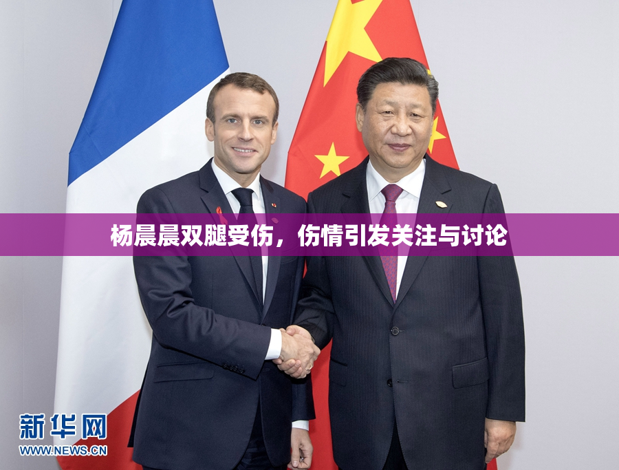 杨晨晨双腿受伤，伤情引发关注与讨论