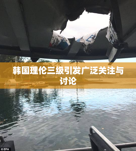 韩国理伦三级引发广泛关注与讨论