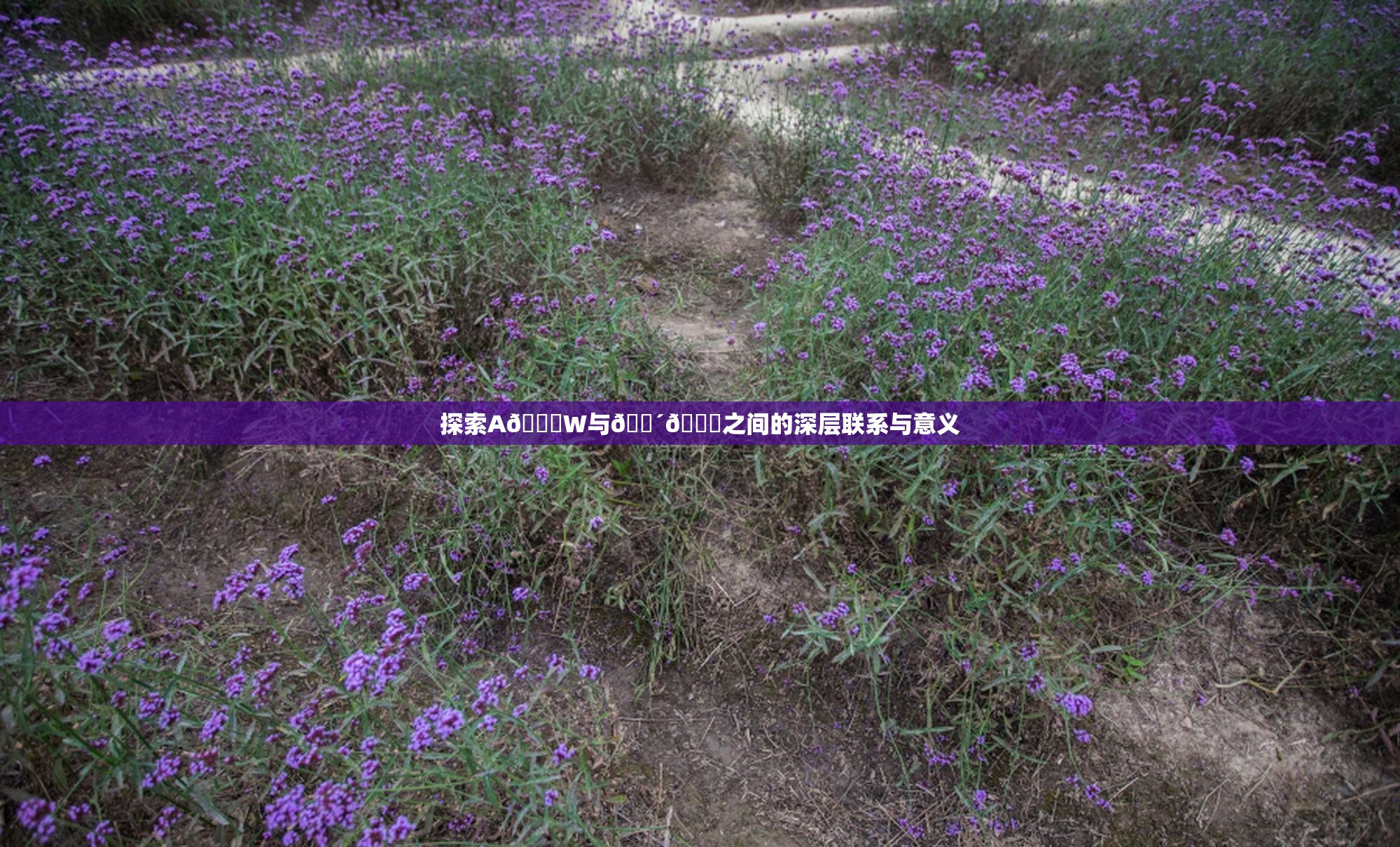 探索A🔞W与🔴🔞之间的深层联系与意义