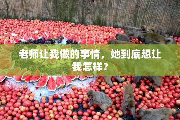 老师让我做的事情，她到底想让我怎样？