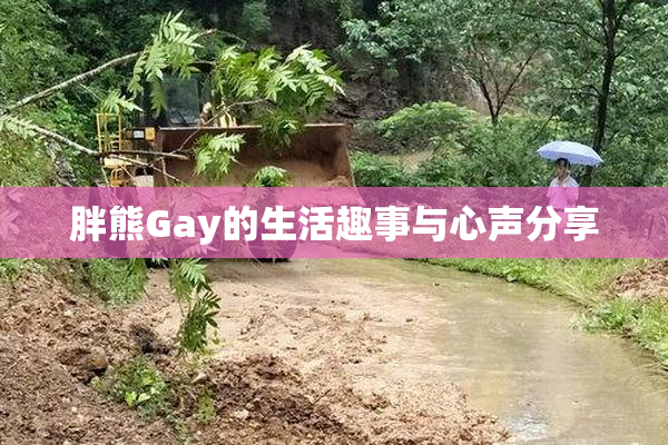 胖熊Gay的生活趣事与心声分享