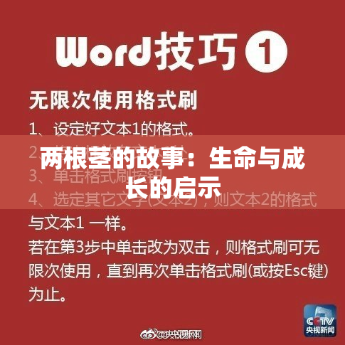 两根茎的故事：生命与成长的启示