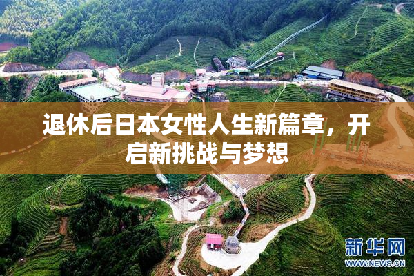 退休后日本女性人生新篇章，开启新挑战与梦想