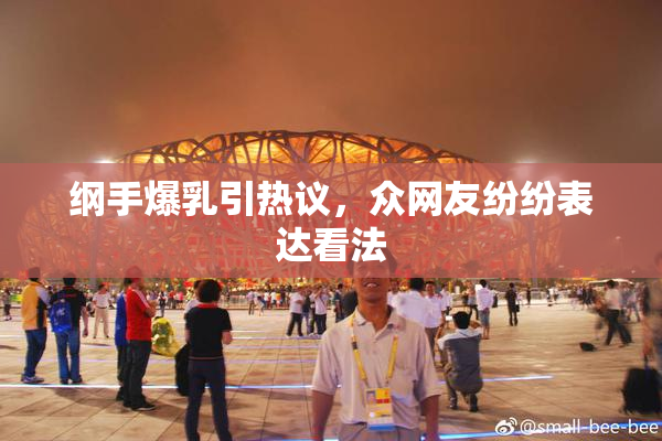 纲手爆乳引热议，众网友纷纷表达看法