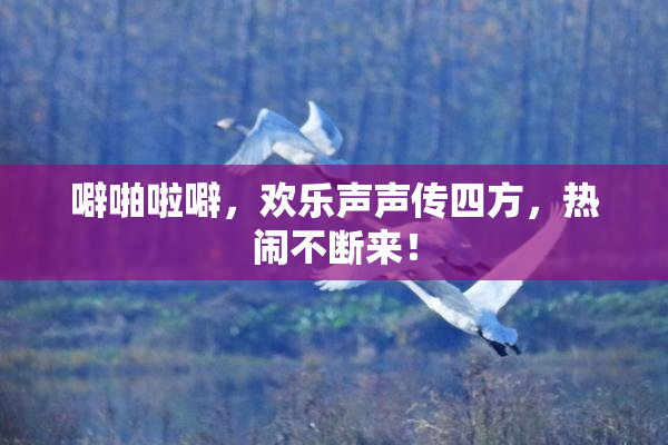 噼啪啦噼，欢乐声声传四方，热闹不断来！