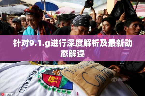 针对9.1.g进行深度解析及最新动态解读