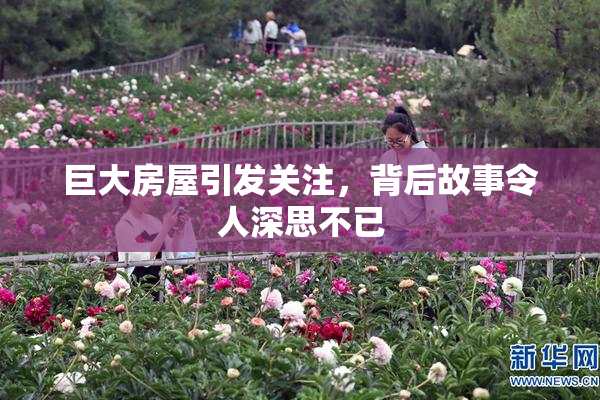 巨大房屋引发关注，背后故事令人深思不已