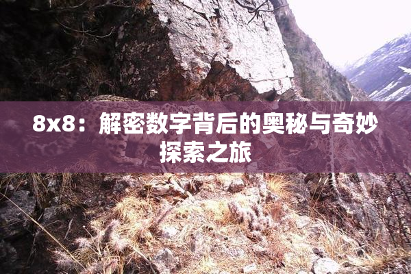 8x8：解密数字背后的奥秘与奇妙探索之旅