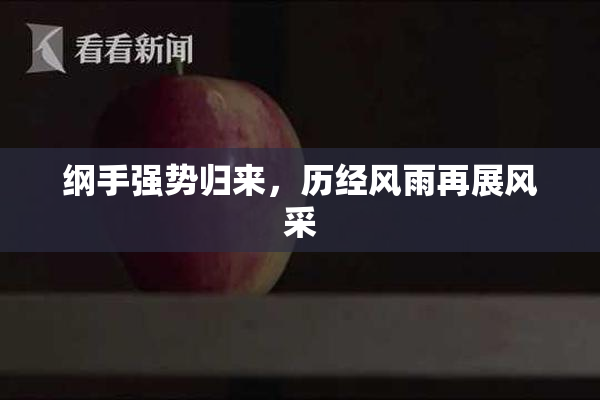 纲手强势归来，历经风雨再展风采